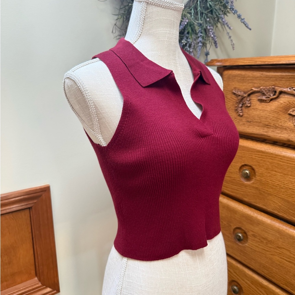 Sincerely Jules Burgundy Sleeveless Crop Top